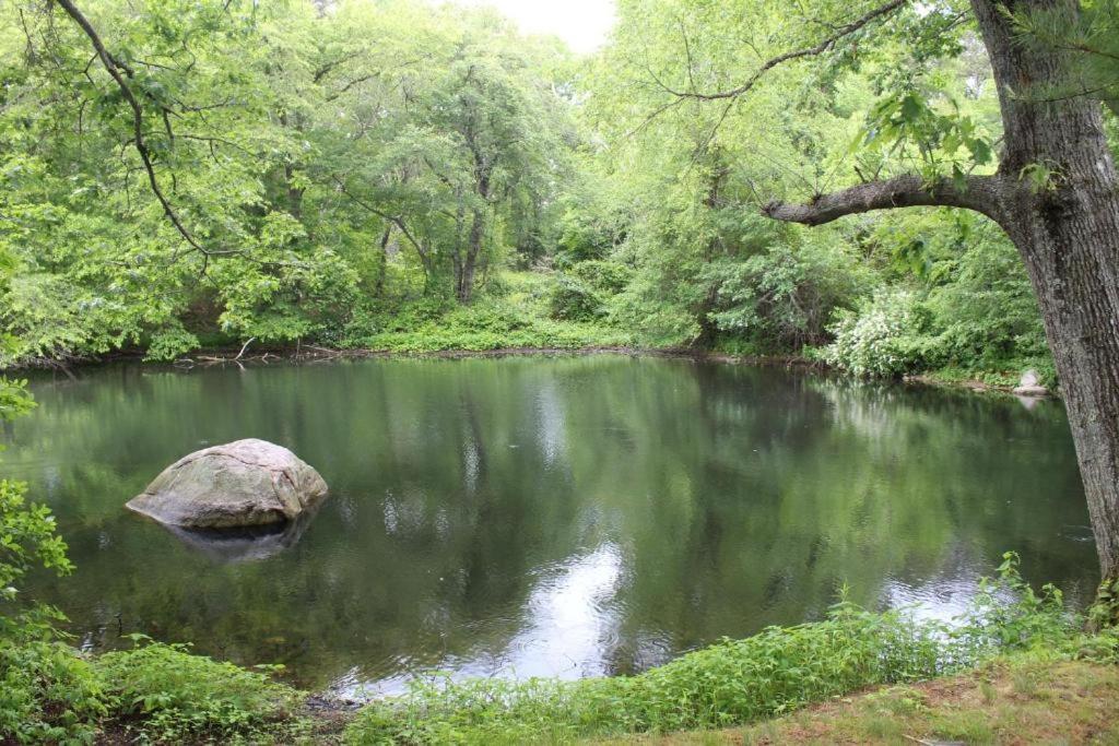 Herring Run *
