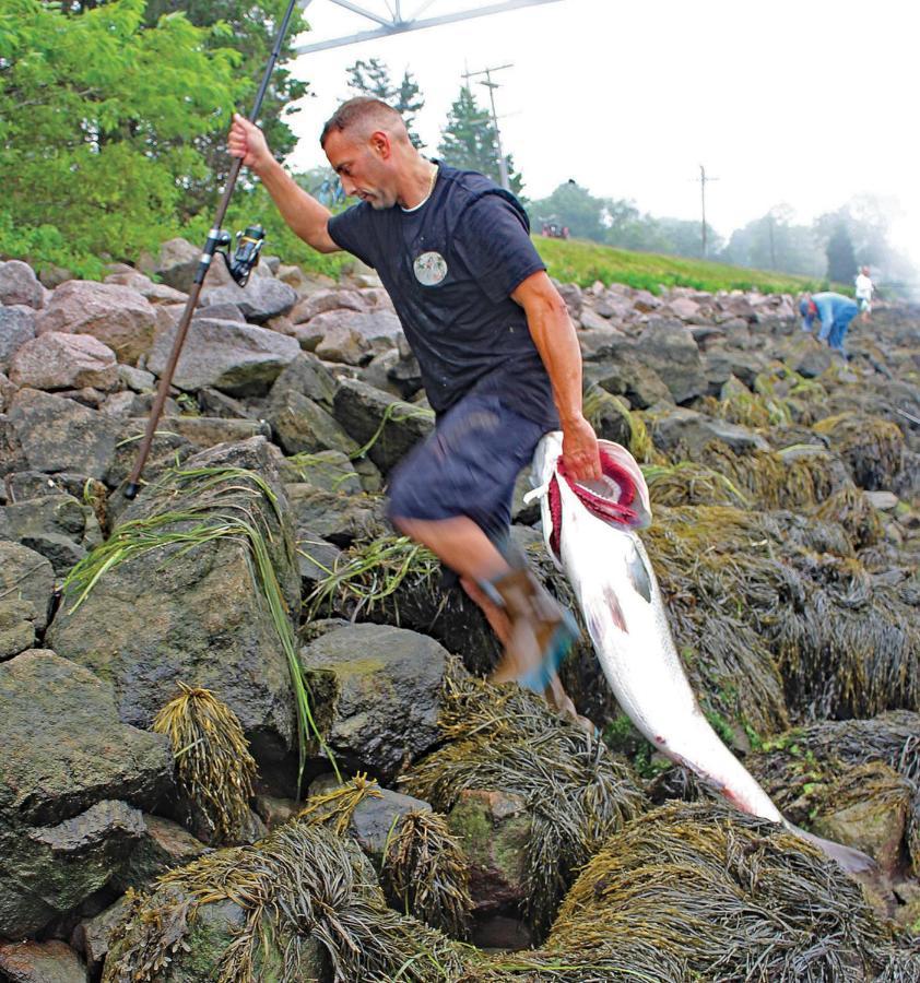 Herring Run *