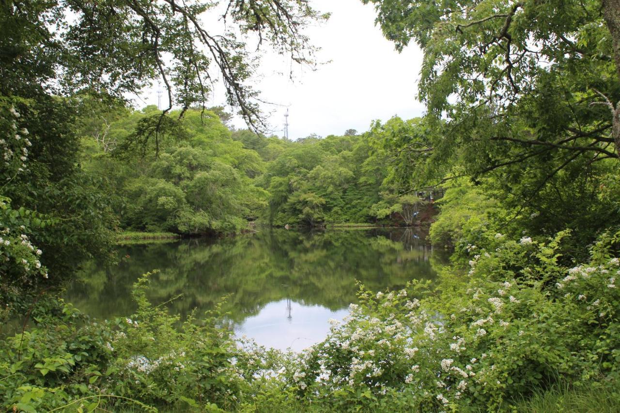 Herring Run * Bourne