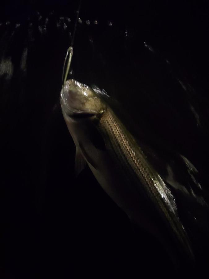 Motel Herring Run